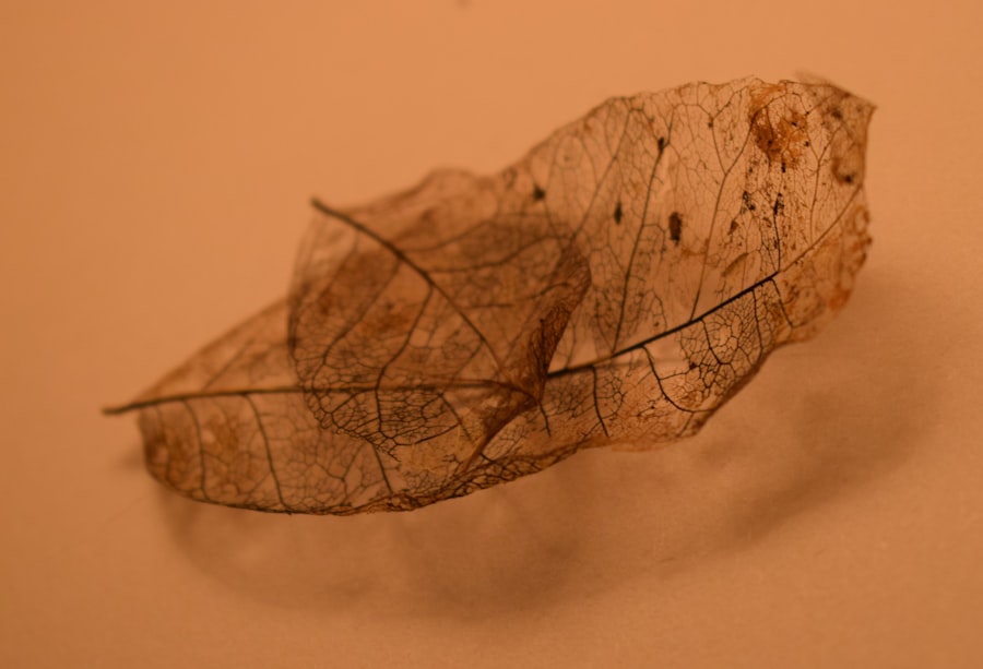 euhaplorchis californiensis