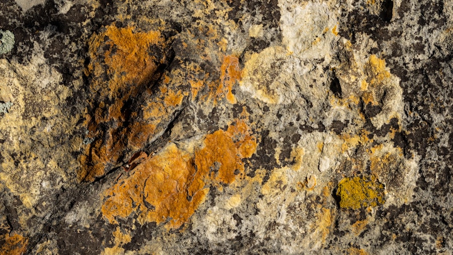 Yellowstone mantle plume