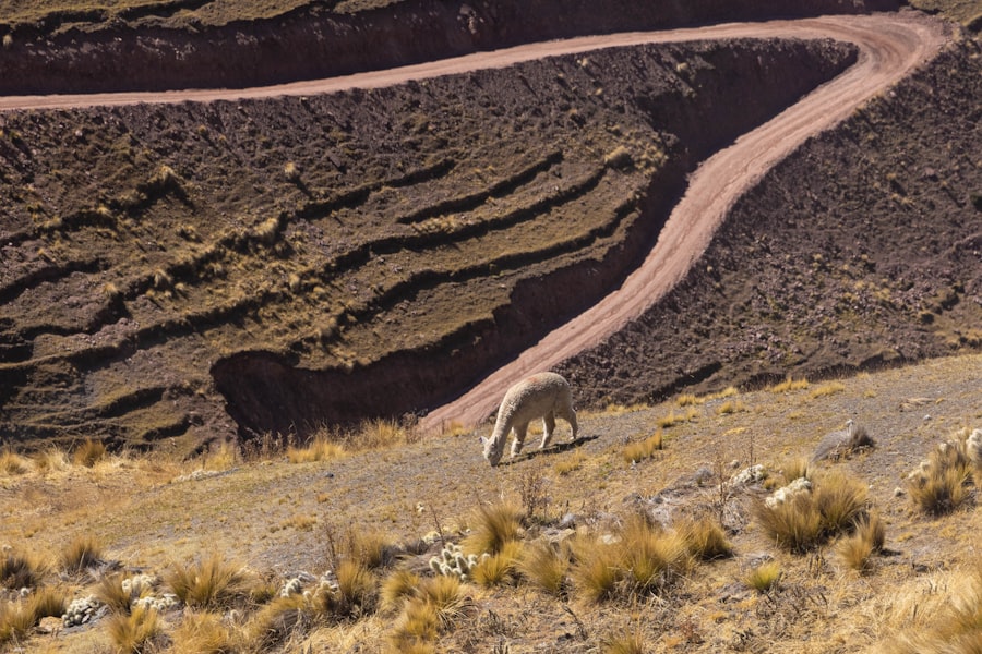 geology Juan de Fuca Plate