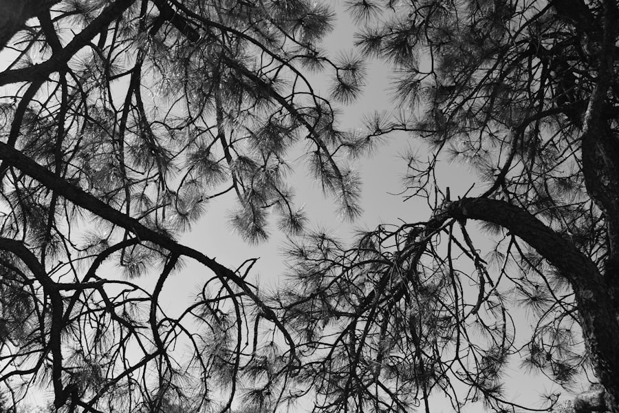 Reconstructive memory