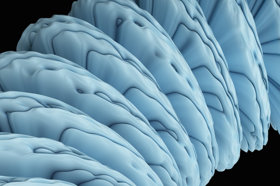 neuroscience placebo effect