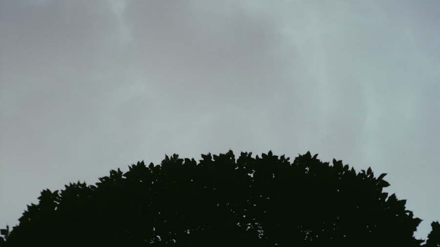 negative expectations