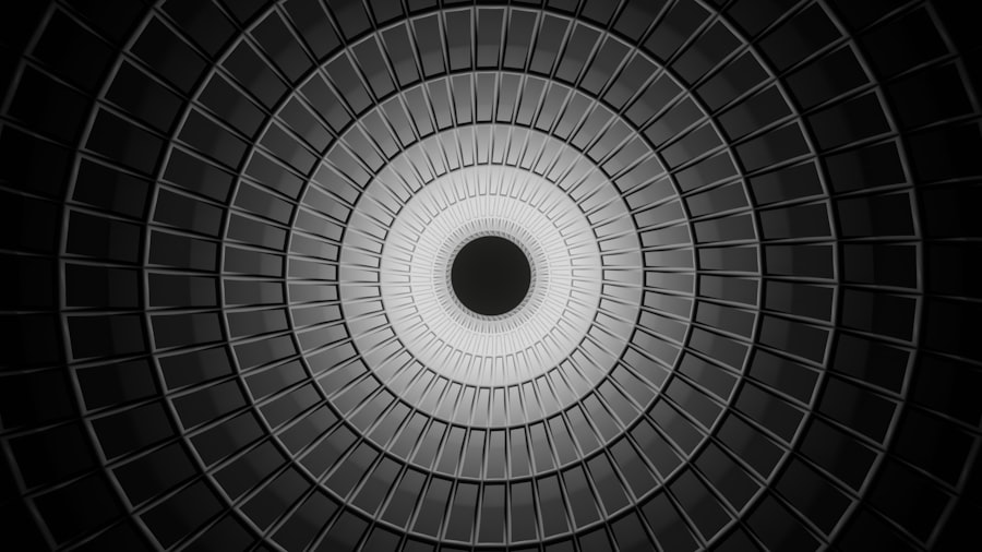 magnetic field documentary