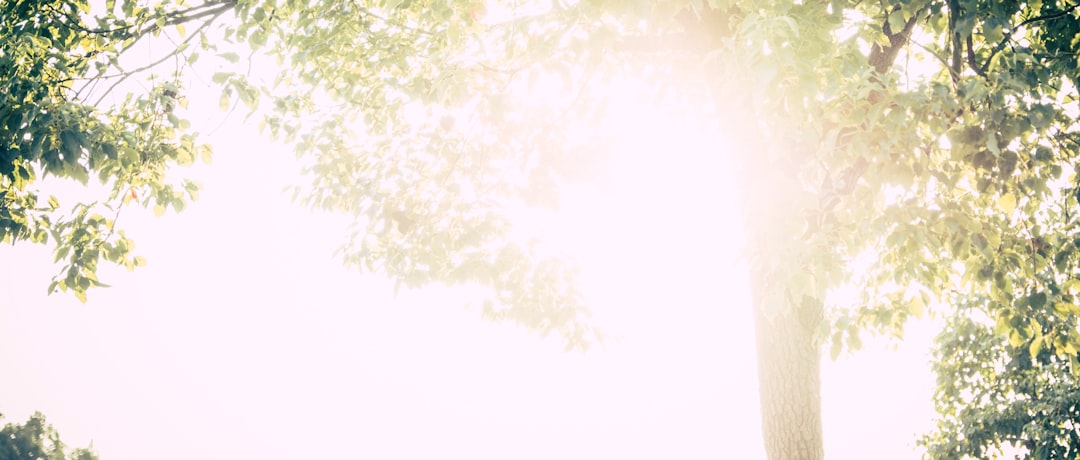 Photo stop analyzing