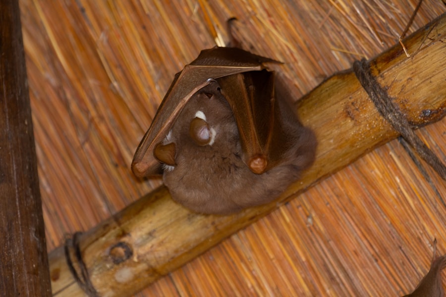 Photo self consciousness