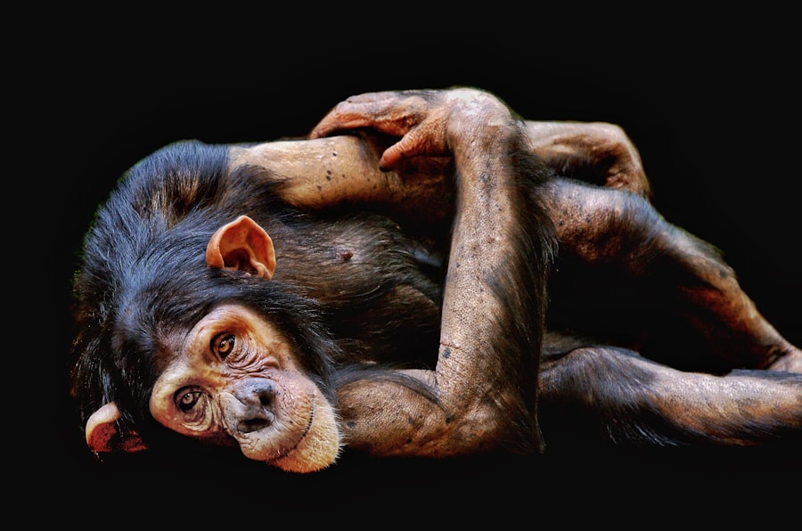 Photo evolutionary psychology shame