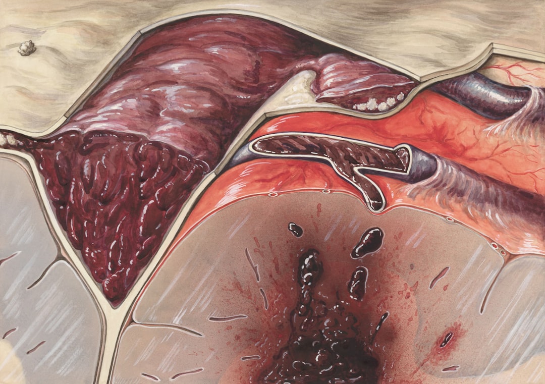 Photo Golgi tendon organ