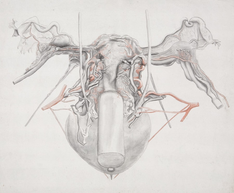 Photo Golgi tendon organ