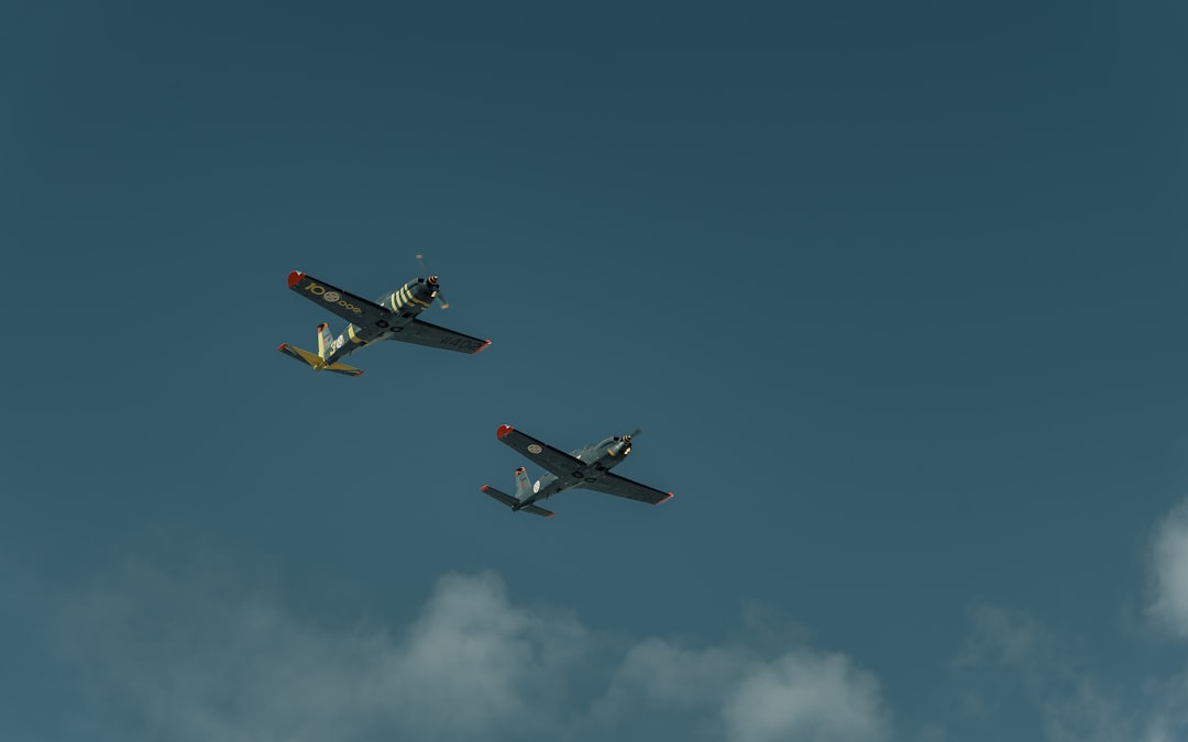 Photo fight or flight response