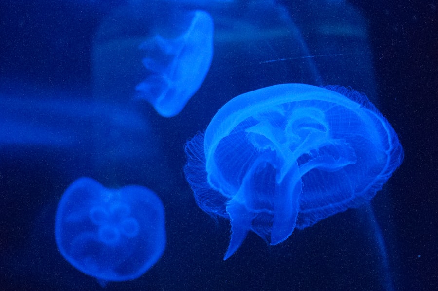 Photo cognitive reappraisal