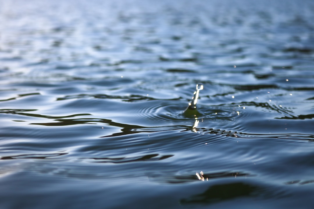 Photo waterborne behavioral link