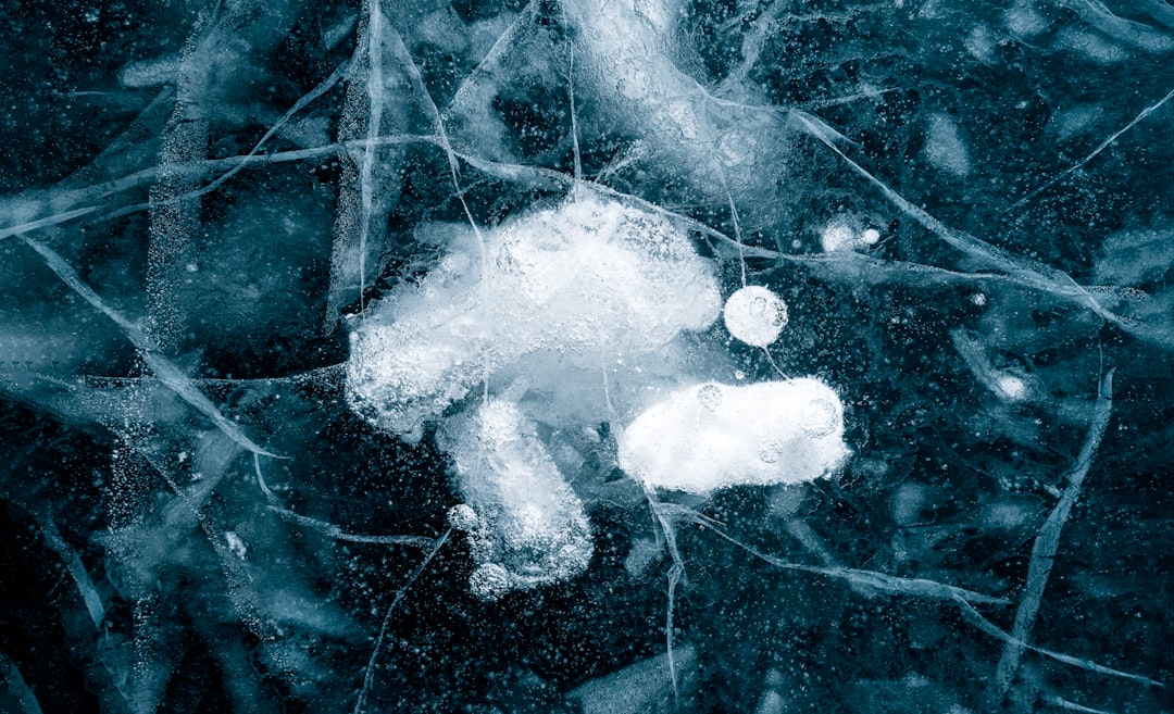 Photo mind controlling organisms