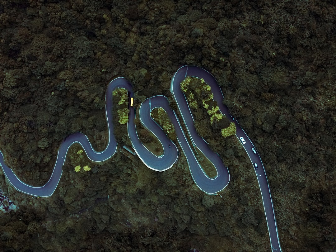 Photo parasite evolutionary survival strategy