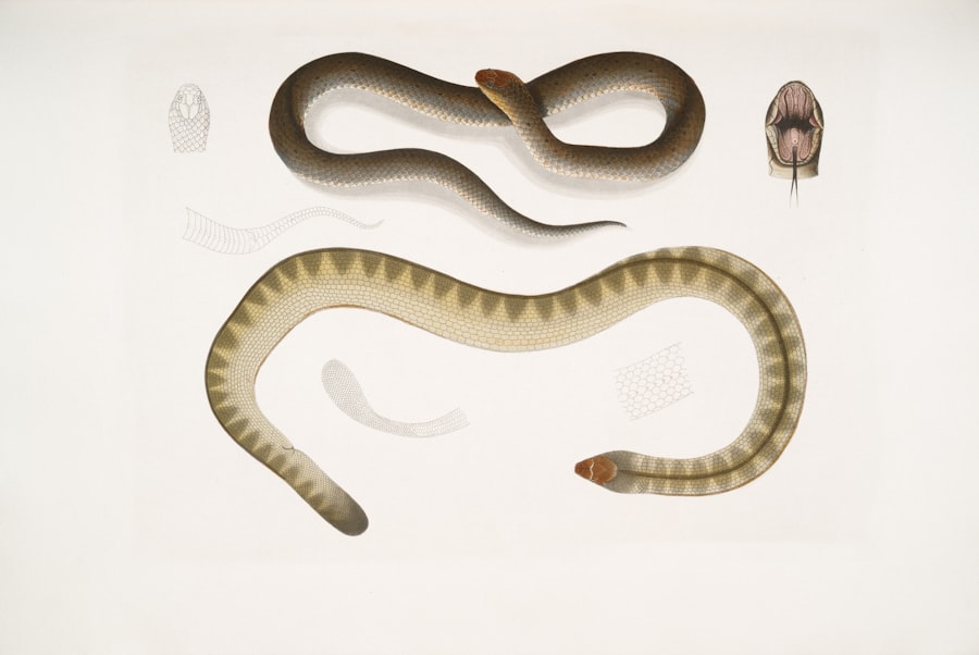 Photo parasite evolutionary survival strategy