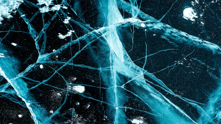 Photo neuroparasitology documentary