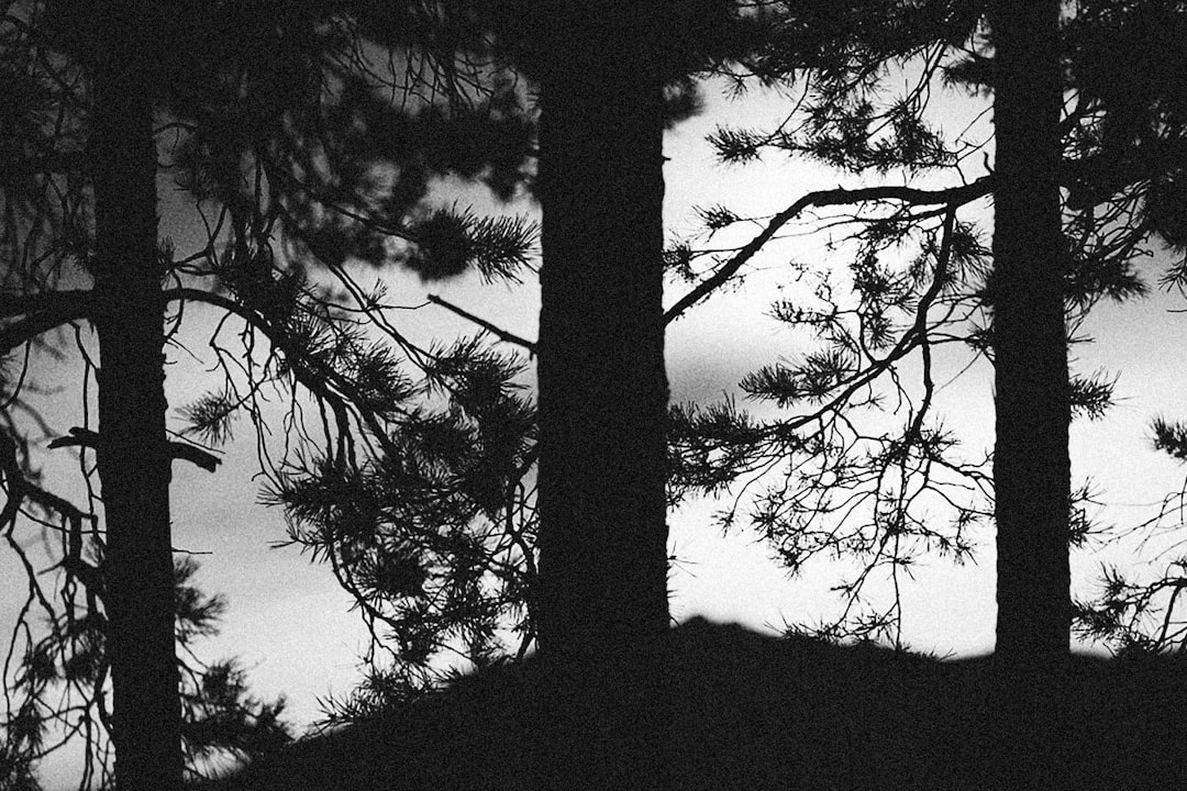 Photo memory distortion