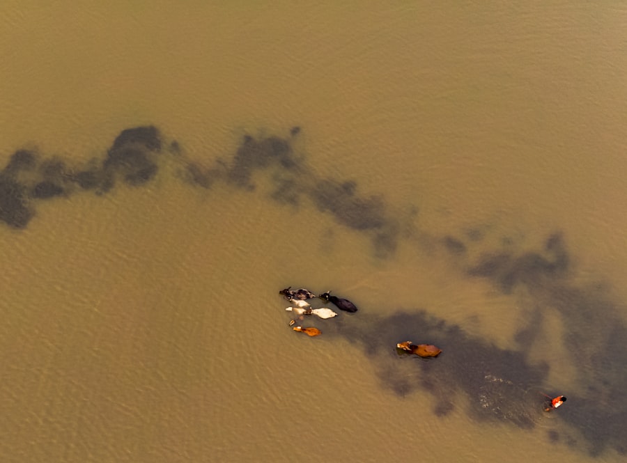 Photo Houston sinking