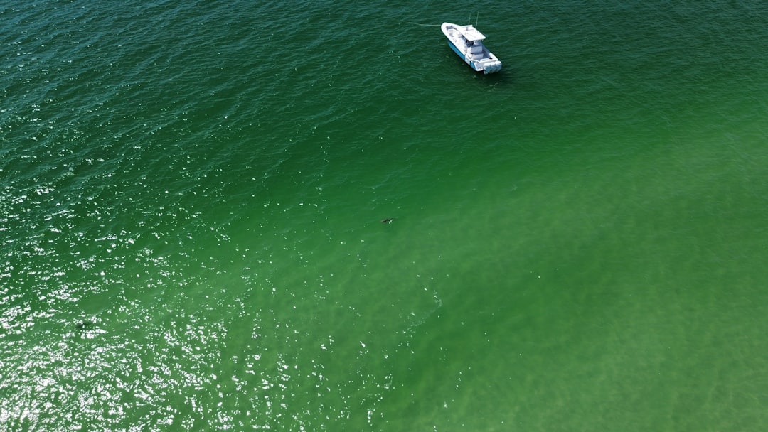 Photo Gulf Coast sinking