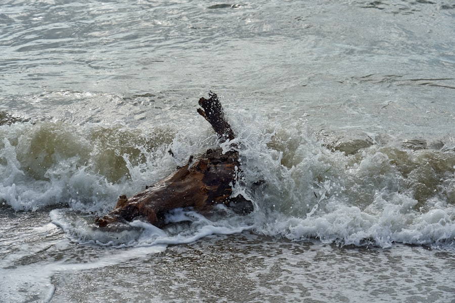 Photo Gulf Coast sinking