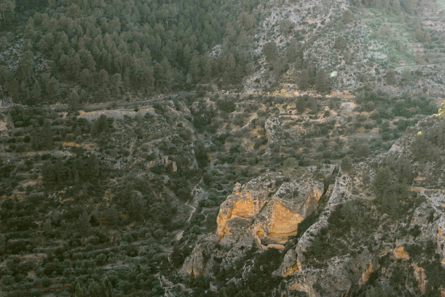 Photo subduction zone history