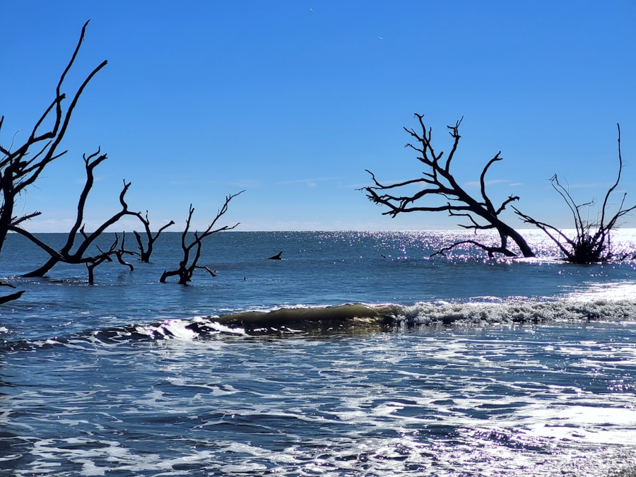 Photo sea level rise