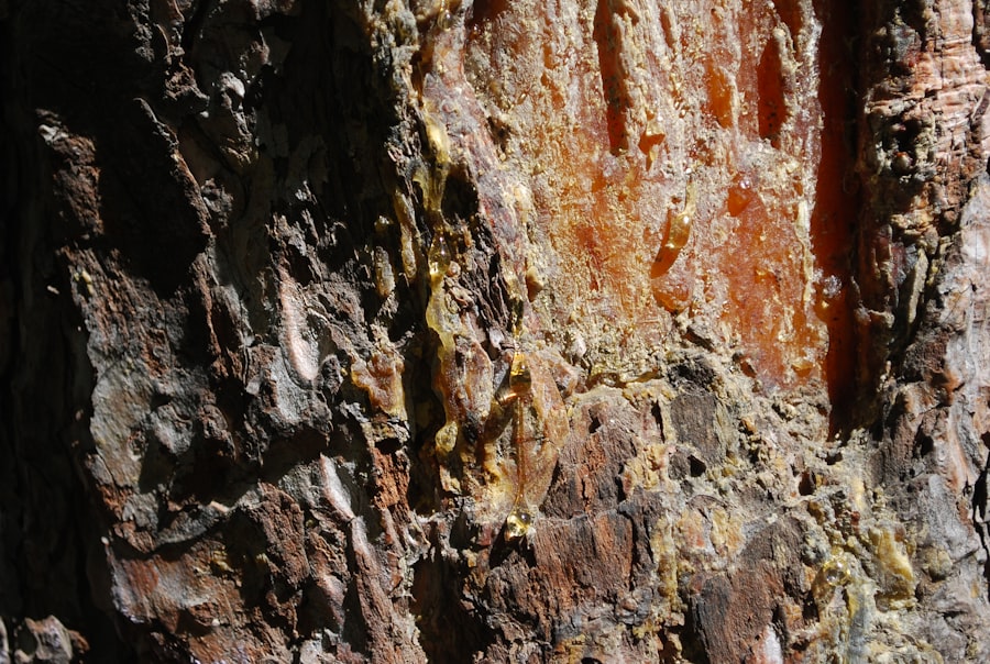 Photo Yellowstone mantle plume