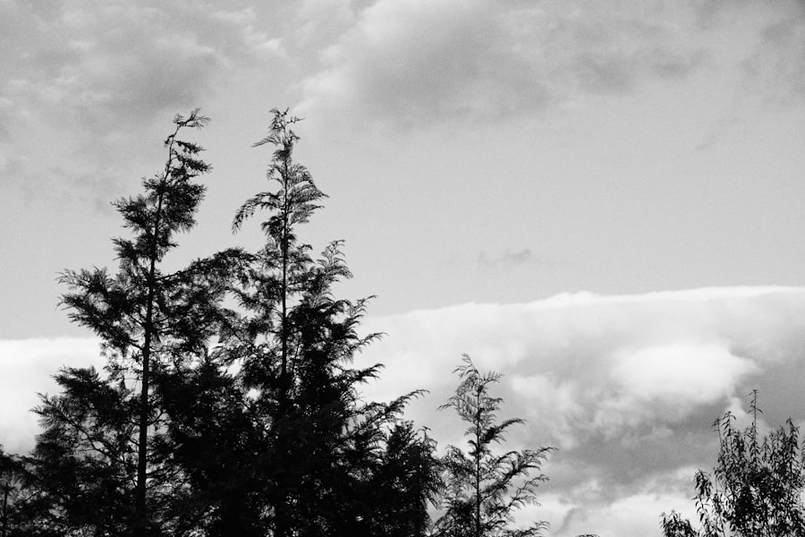 Photo land subsidence