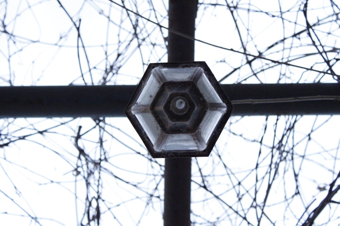 Photo magnetic shield