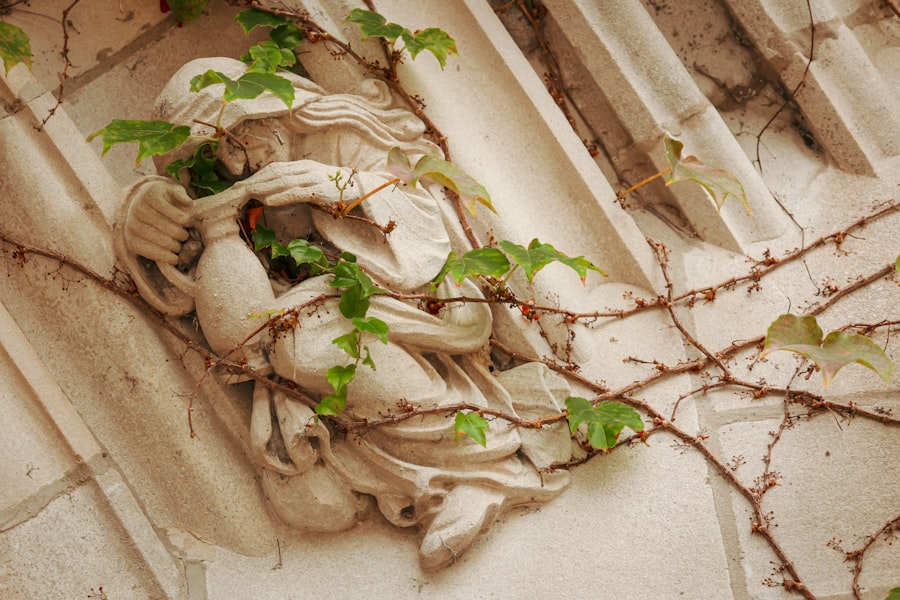 Photo plant memory anchors