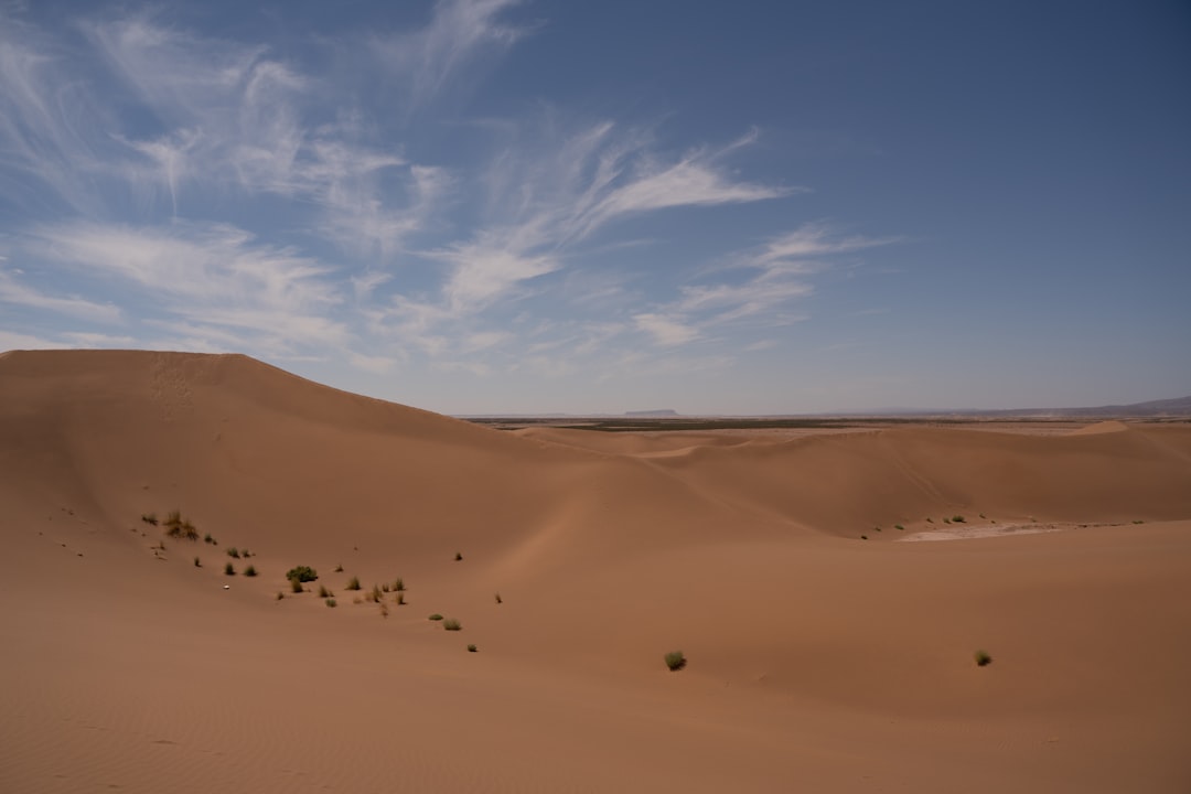 Photo radios, desert