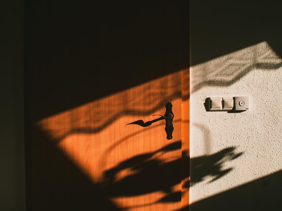 Photo shadow figures