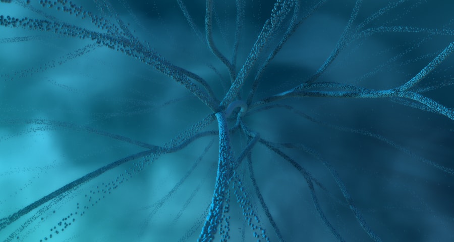 memory science documentary