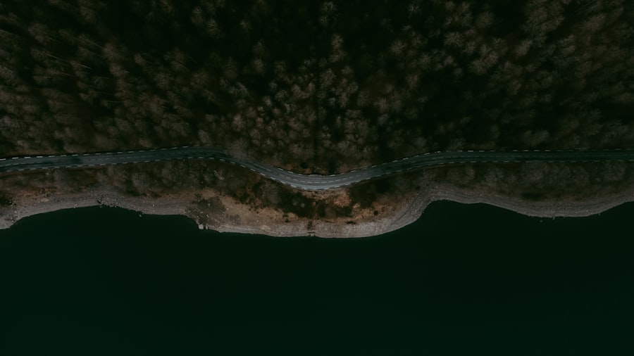 Penrose-Hameroff Orch OR Theory