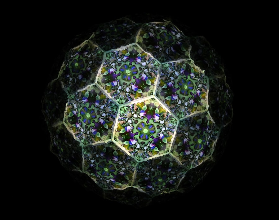 multicellular life development