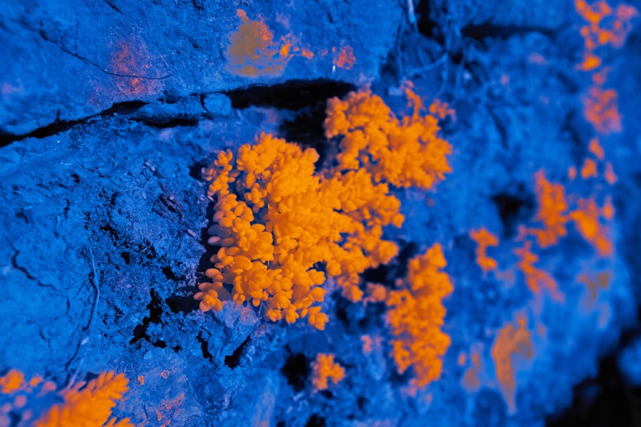 Photo hydrothermal eruption