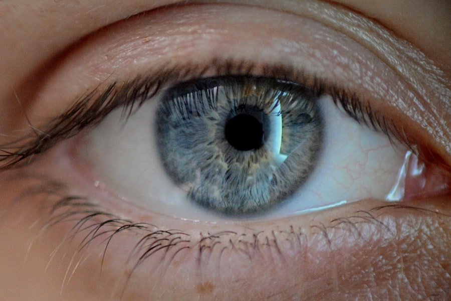 Photo frame rate of human vision