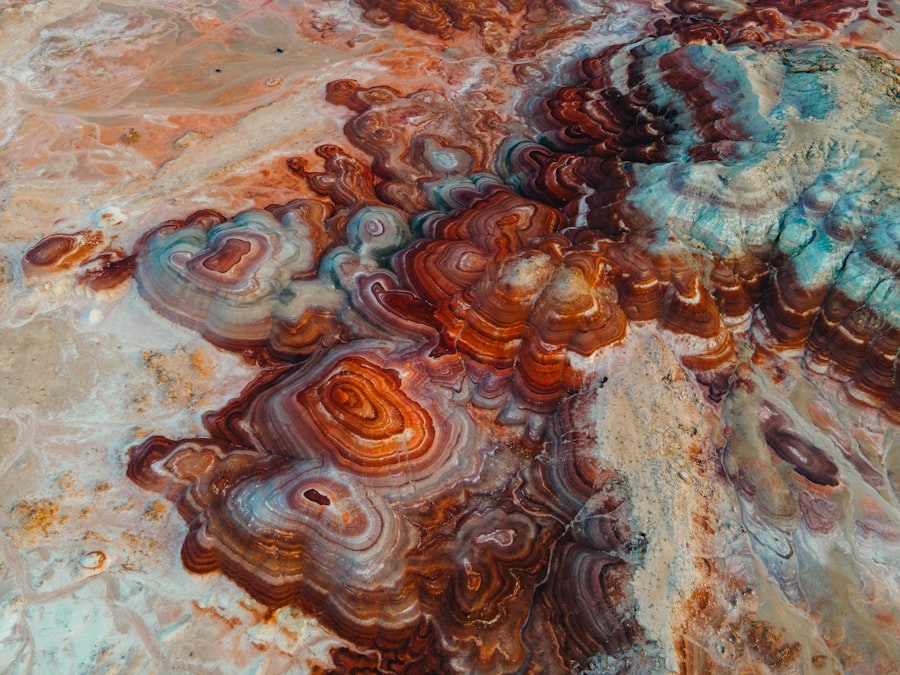 Photo Mars microbial life