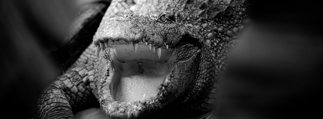 Photo test Orch OR theory experimentally