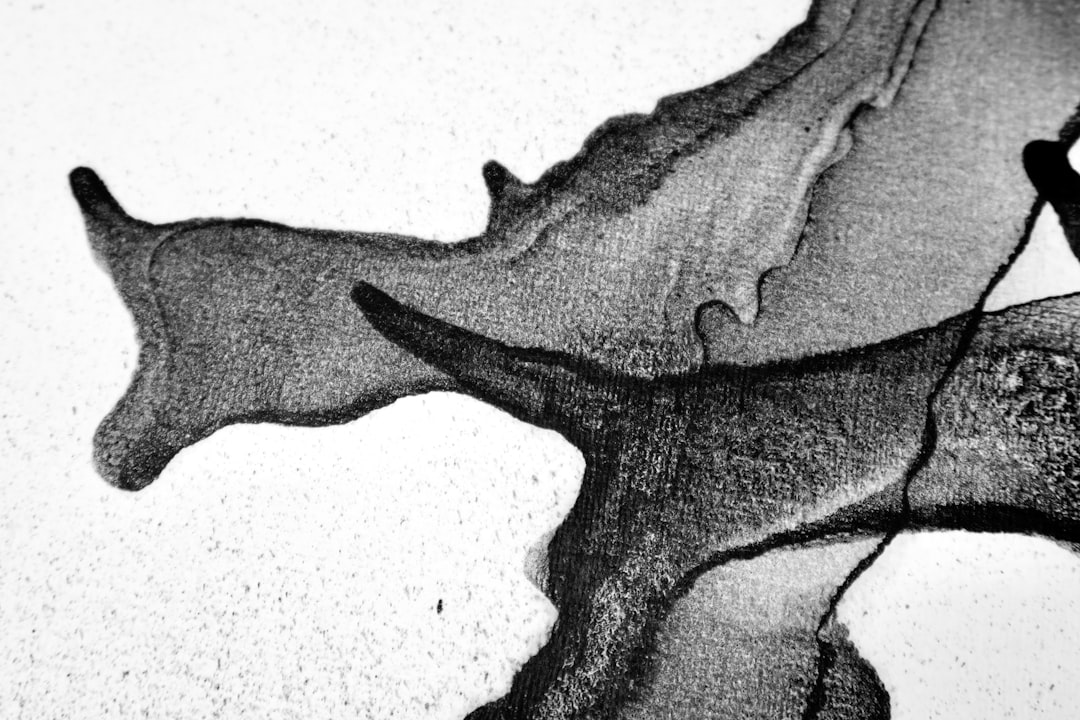 Photo dorsal root ganglion pain signaling