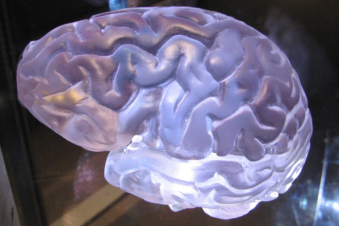Photo frontal cortex