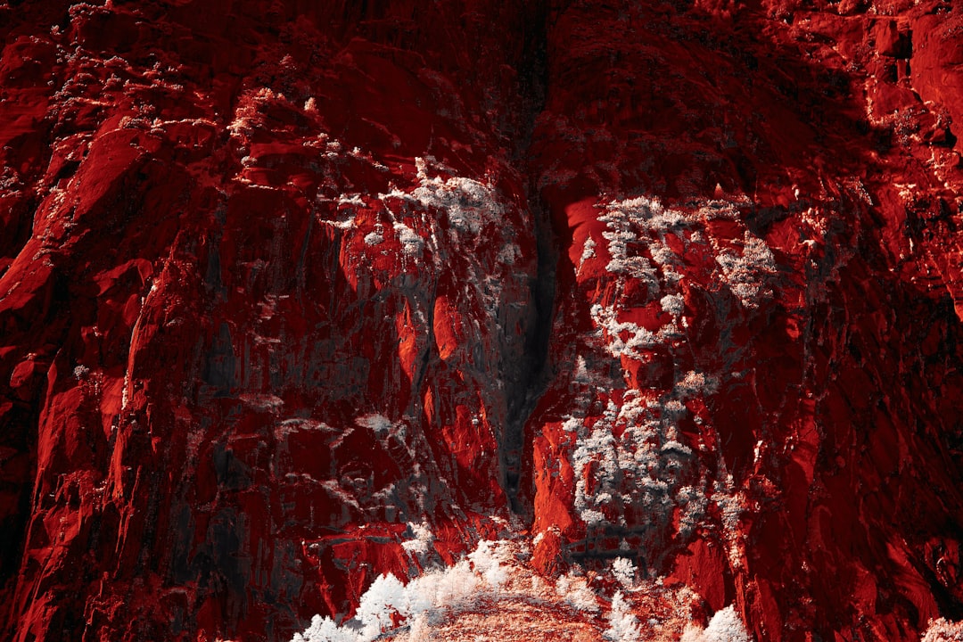 Photo red dwarf empire