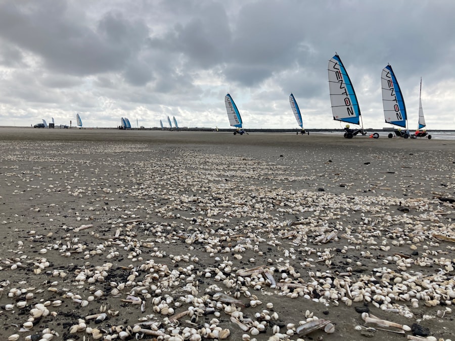 Photo tidal disruption event