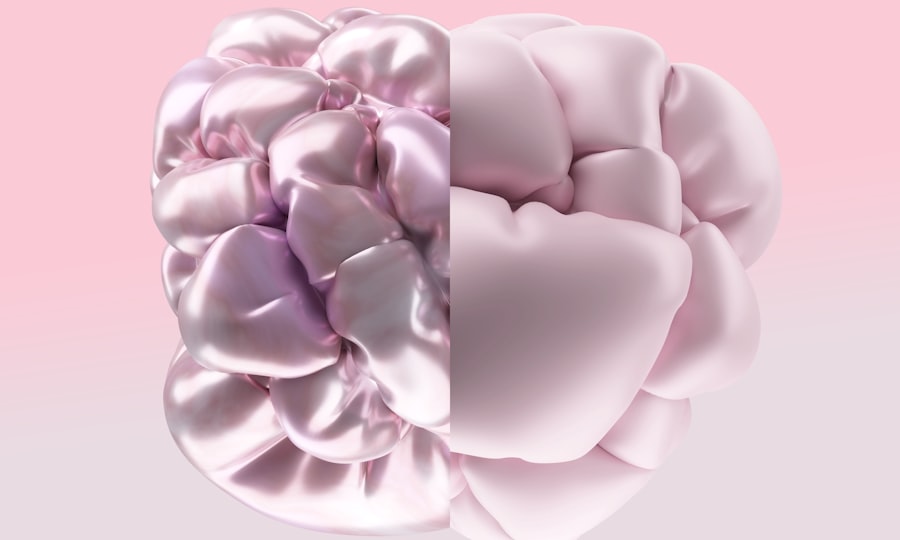 Photo brain editing memories