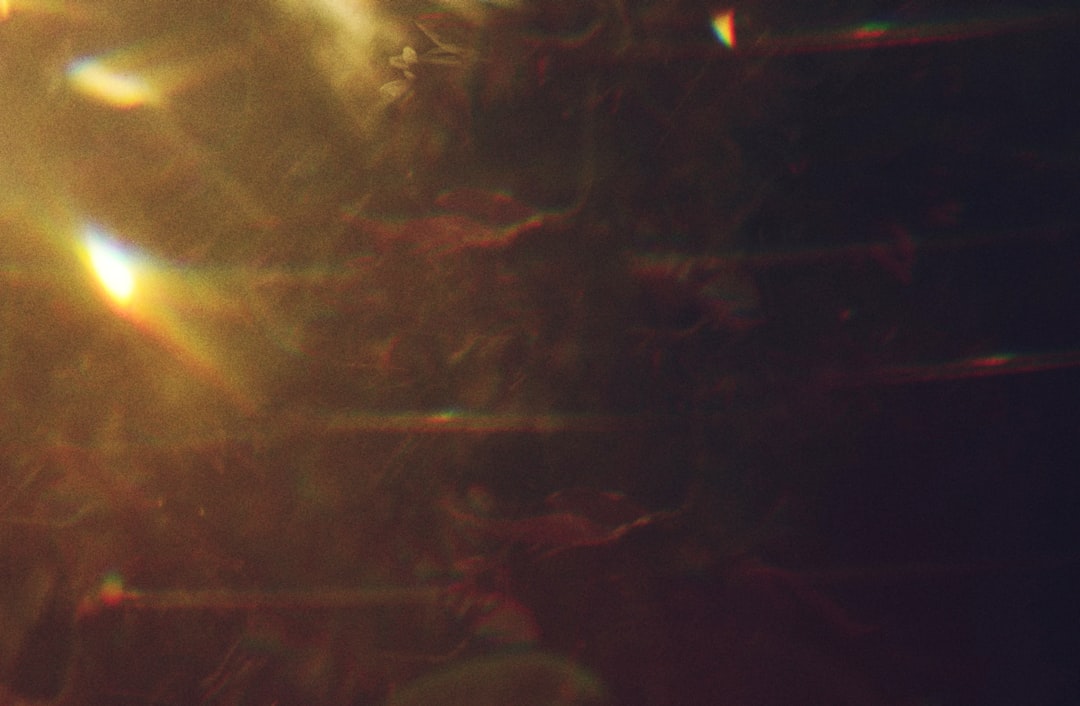 Photo quantum eraser