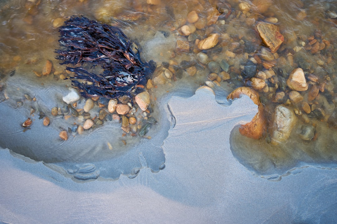 Photo transition zone