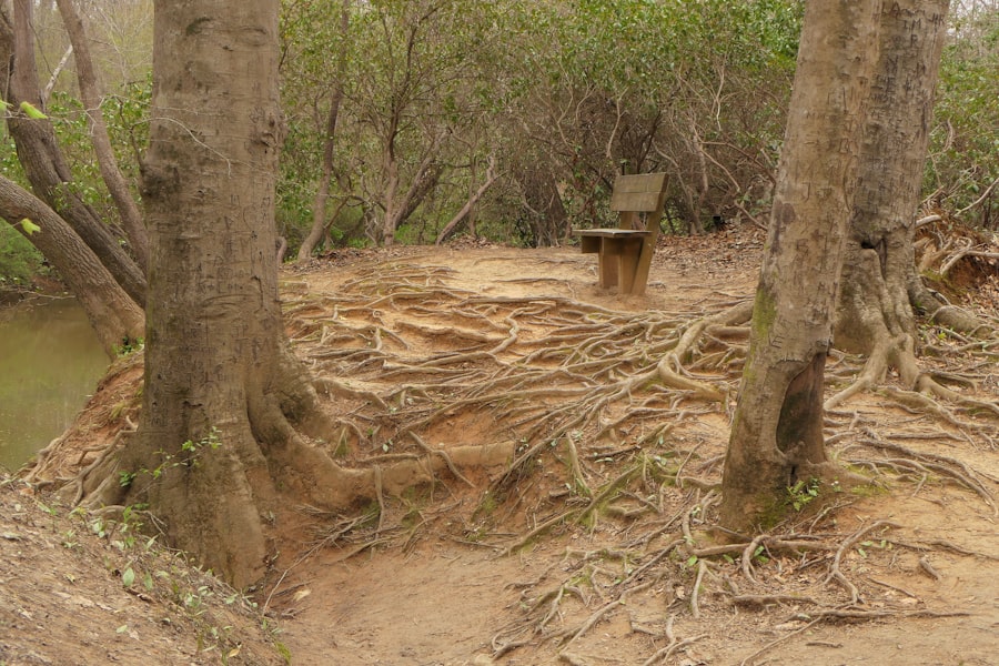 heritage zones biological preservation