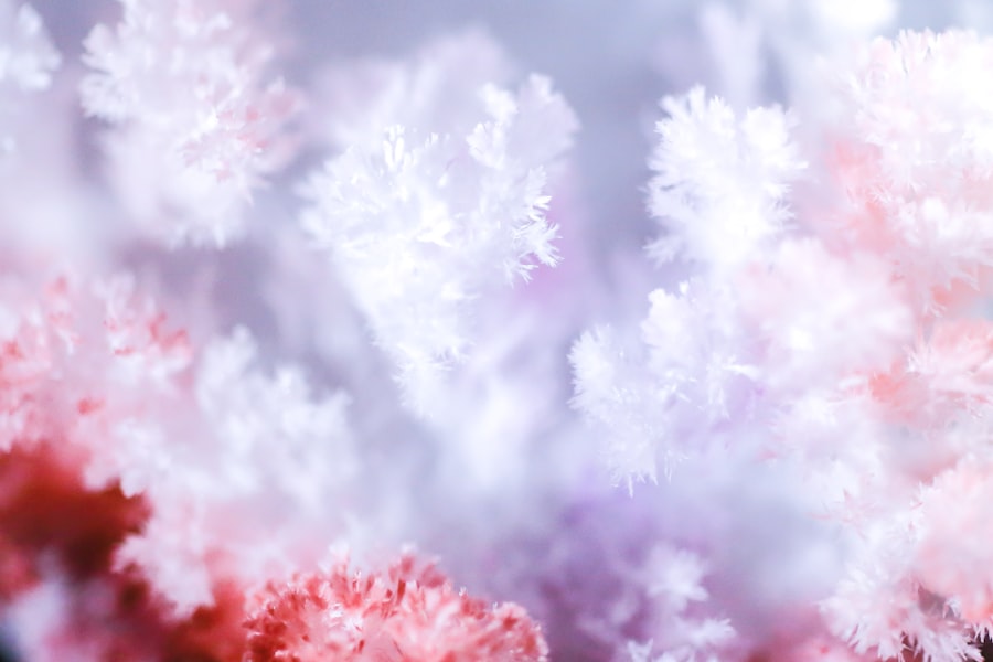 fractal patterns