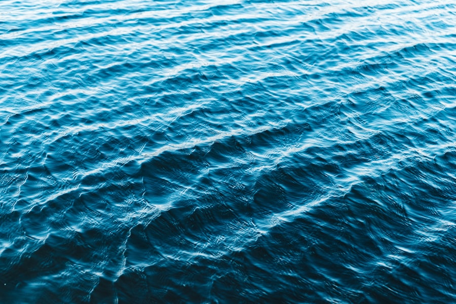 Photo ocean acidification