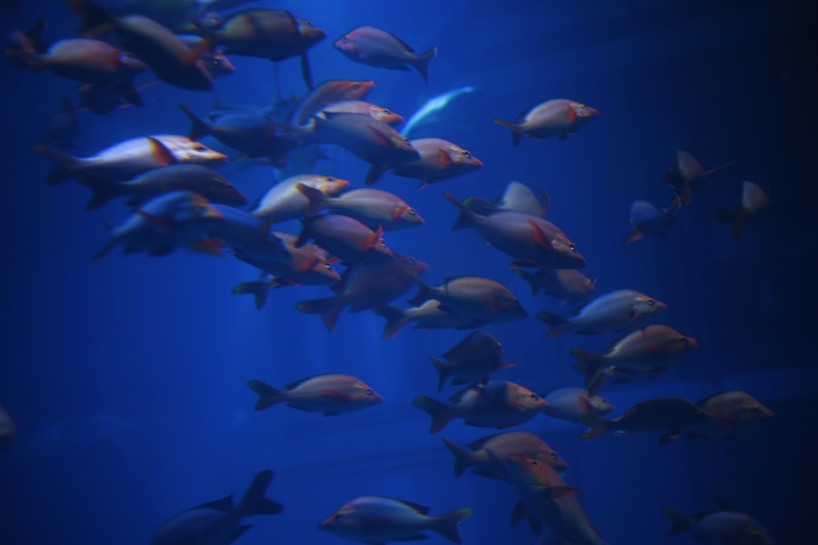 Photo fish habitat compression oxygen