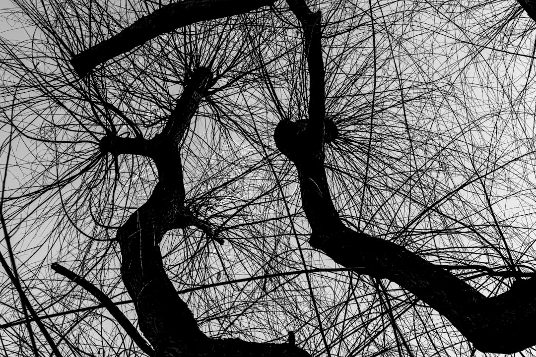 Photo neural plasticity